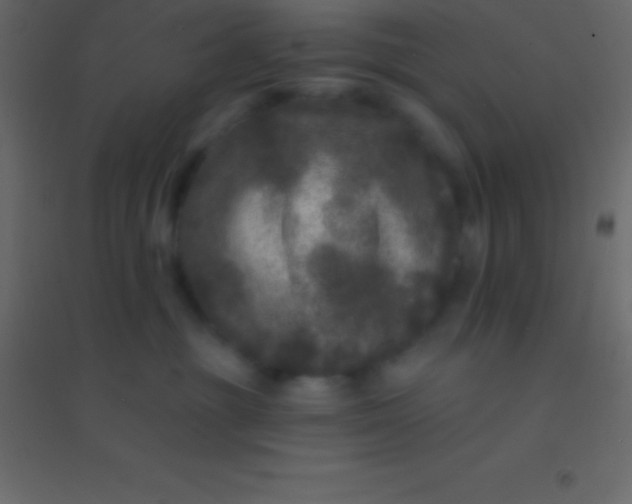 X0000094960381200712131650