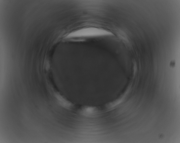 X0000094960382200712131650