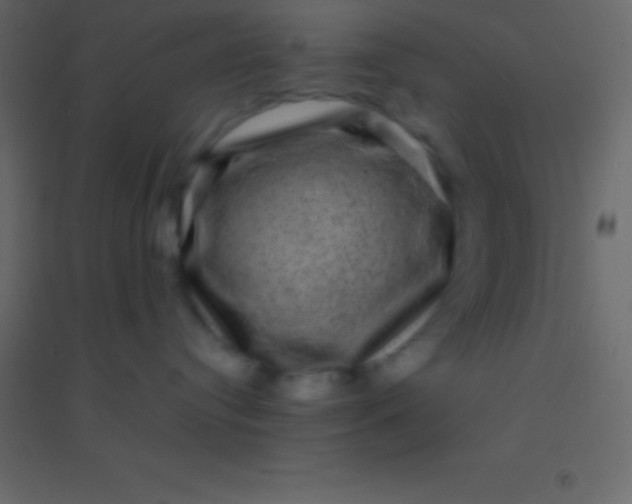 X0000094960384200712131650