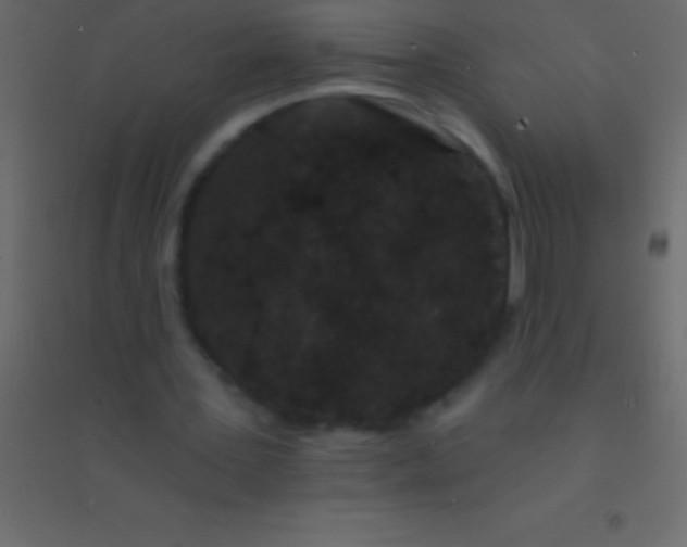 X0000094960387200712131650