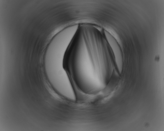 X0000094960389200712131650