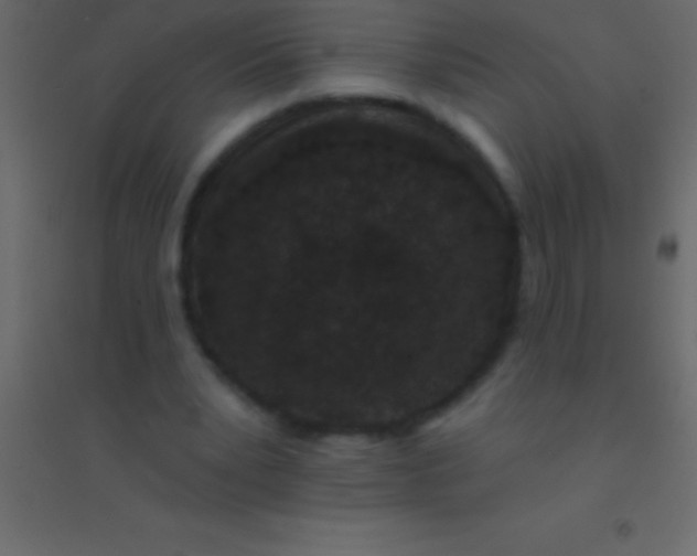 X0000094960391200712131650