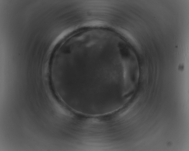 X0000094960392200712131650