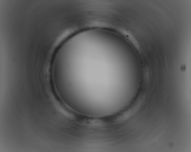 X0000094960395200712131650