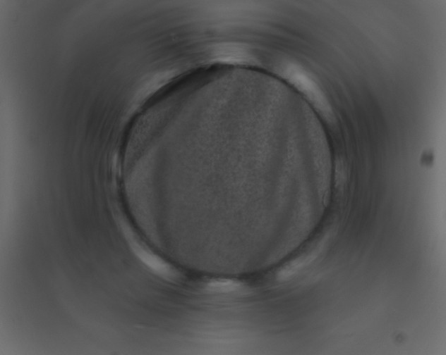 X0000094960397200712131650