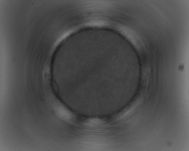 X0000094960399200712131650