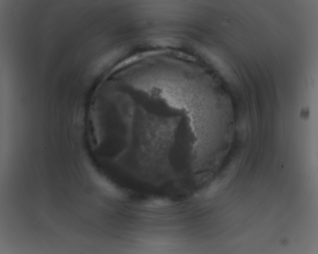 X0000094960402200712131650