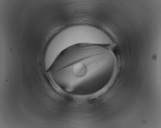 X0000094960403200712131650