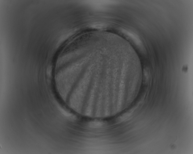 X0000094960404200712131650