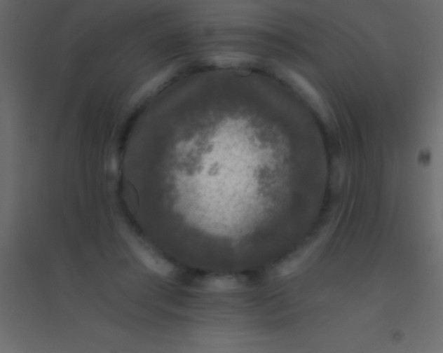 X0000094960405200712131650