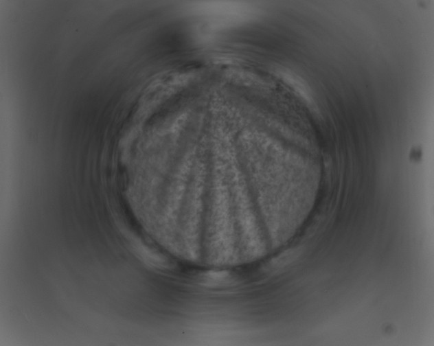 X0000094960406200712131649