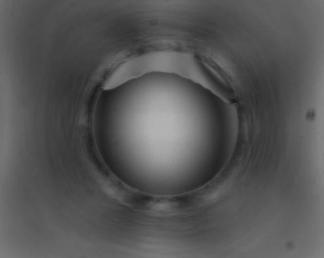 X0000094960407200712131649