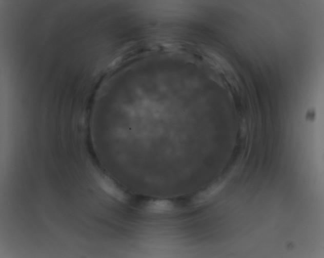 X0000094960409200712131649