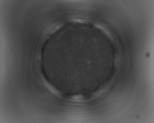 X0000094960410200712131649