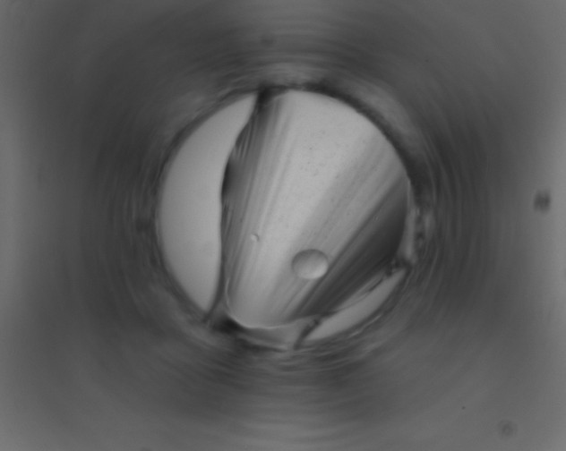 X0000094960411200712131649