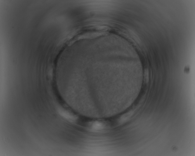 X0000094960412200712131649