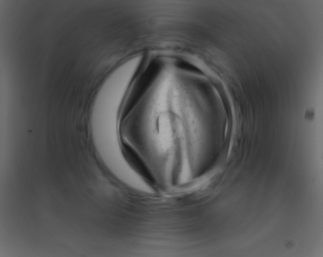 X0000094960415200712131649