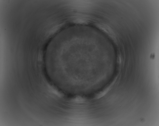 X0000094960416200712131649