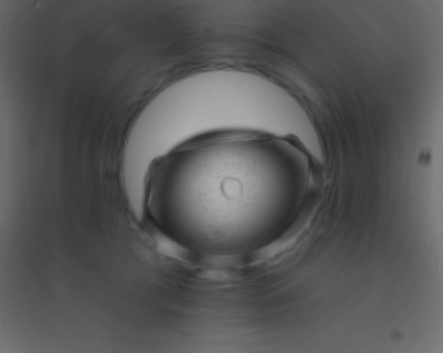 X0000094960417200712131649