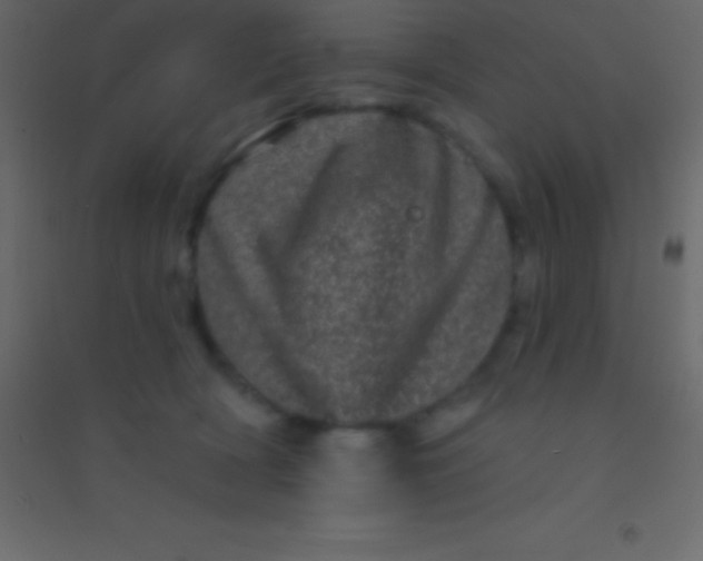 X0000094960418200712131649