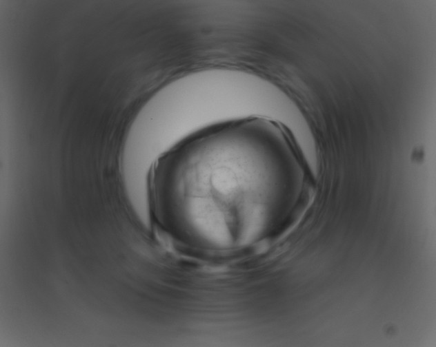 X0000094960419200712131649