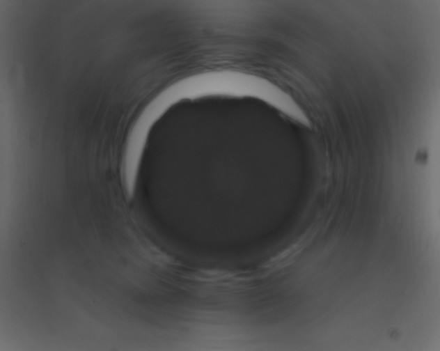 X0000094960420200712131649