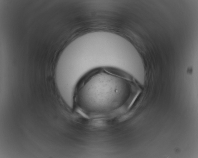 X0000094960421200712131649