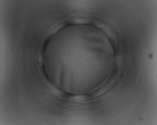 X0000094960422200712131649