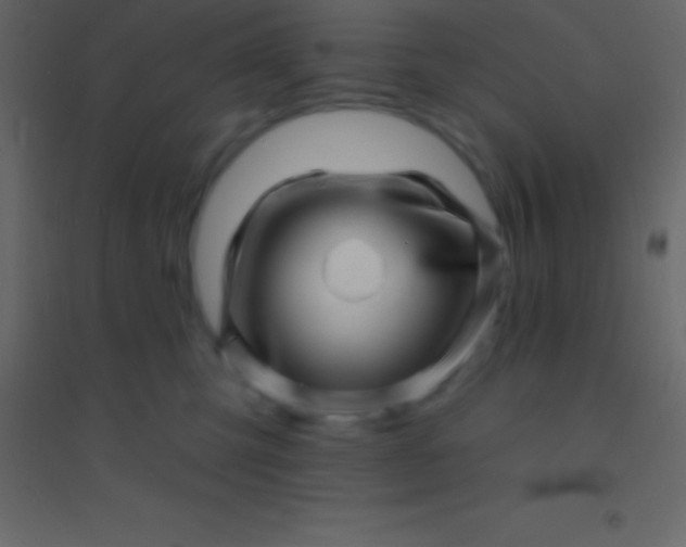 X0000094960423200712131649