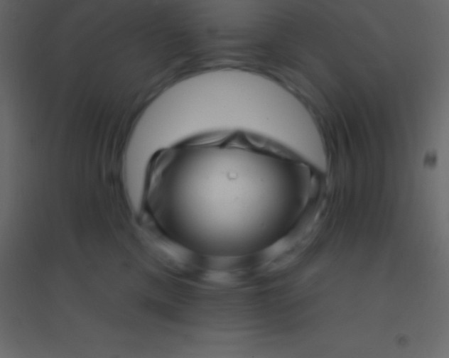 X0000094960425200712131649