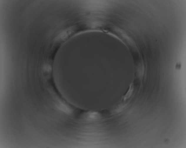 X0000094960427200712131649