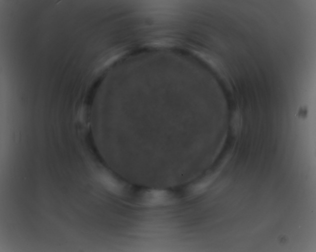 X0000094960428200712131649