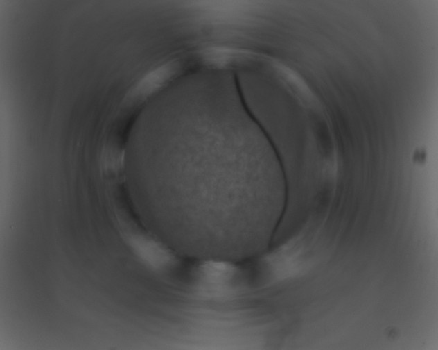 X0000094960429200712131649