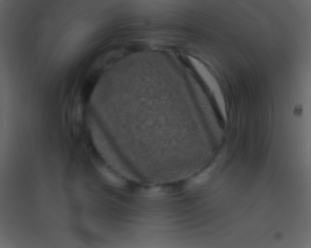 X0000094960430200712131649