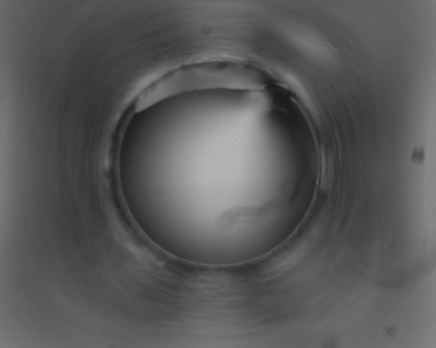 X0000094960435200712131648