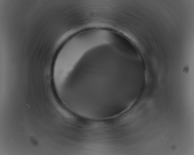 X0000094960438200712131648