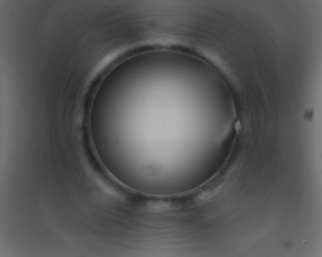 X0000094960440200712131648