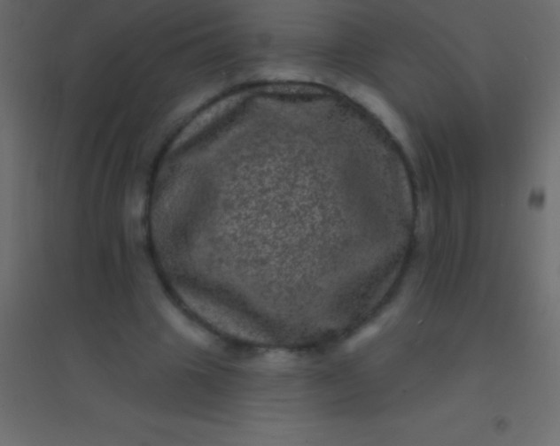 X0000094960441200712131648