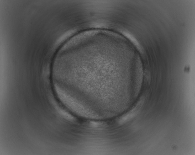 X0000094960442200712131648