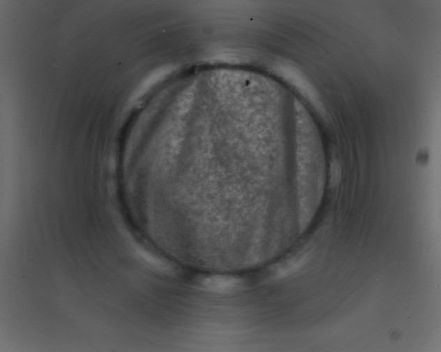 X0000094960444200712131648