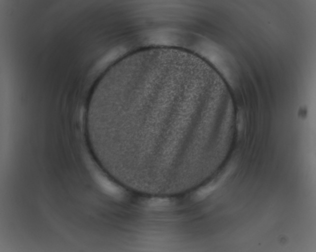 X0000094960445200712131648