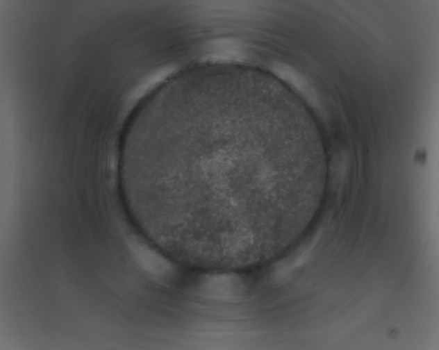 X0000094960446200712131648