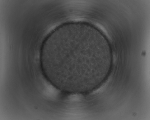 X0000094960447200712131648