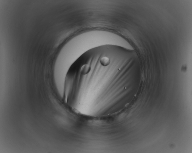 X0000094960448200712131648