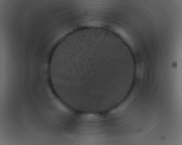 X0000094960449200712131648