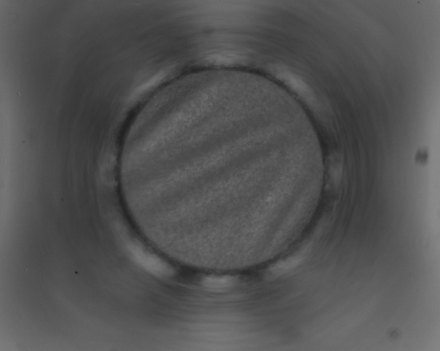 X0000094960450200712131648