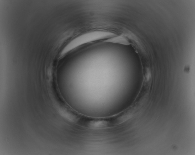 X0000094960452200712131648