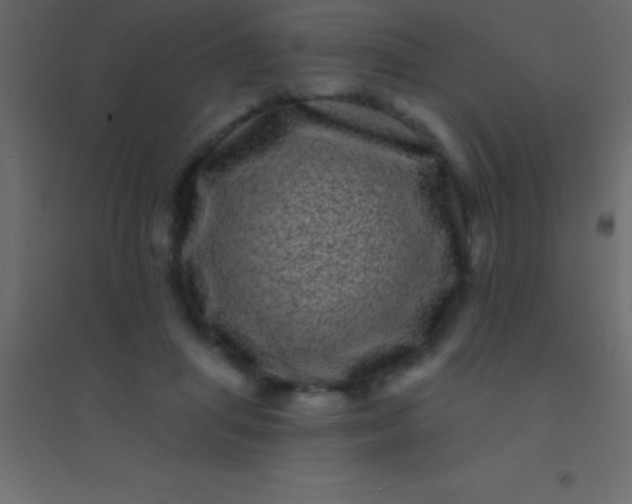 X0000094960455200712131648