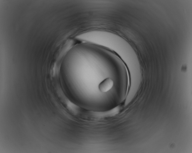 X0000094960456200712131648