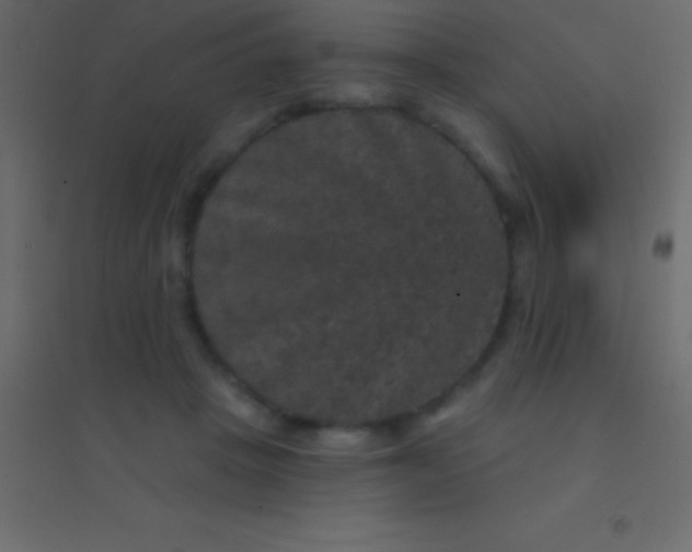 X0000094960457200712131648